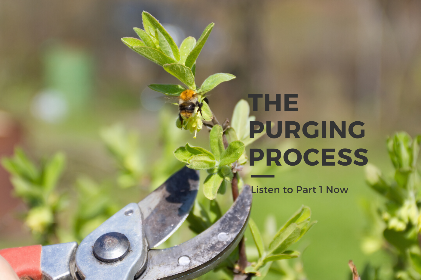 The Purging Process